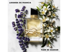 Yves Saint Laurent Libre
