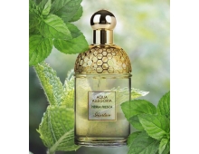 Guerlain Aqua Alleqoria Herba Fresca