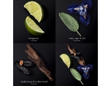 Armani Code Parfum