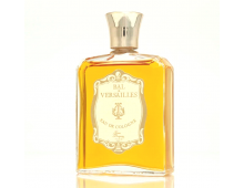 Jean Desprez Bal a Versailles