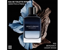Givenchy Gentleman Intense