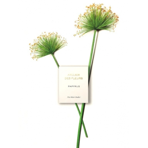  Chloe Atelier Des Fleurs Papyrus  4  в магазине Парфюм Питер 