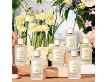 Chloe Atelier Des Fleurs Hysope