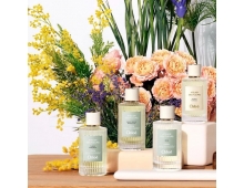 Chloe Atelier Des Fleurs Hysope