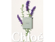 Chloe Atelier Des Fleurs Hysope