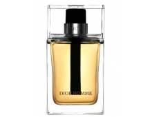Christian Dior Homme