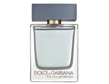 Dolce & Gabbana The One Gentleman