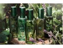 Jo Malone Carrot Blossom & Fennel