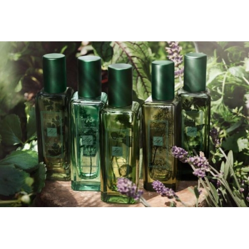  Jo Malone Carrot Blossom & Fennel  3  в магазине Парфюм Питер 